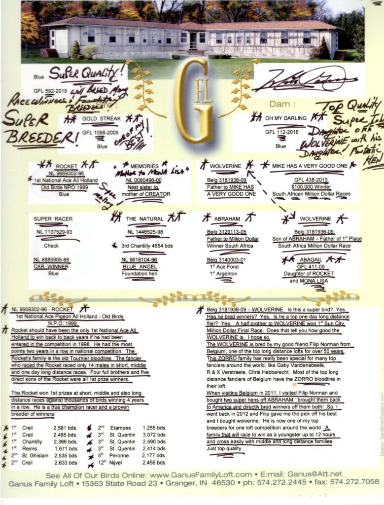 Pigeon pedigree and breeder advertisement with notes
