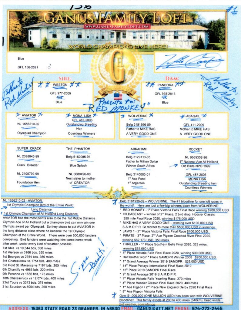 Pigeon loft pedigree flyer with handwritten notes