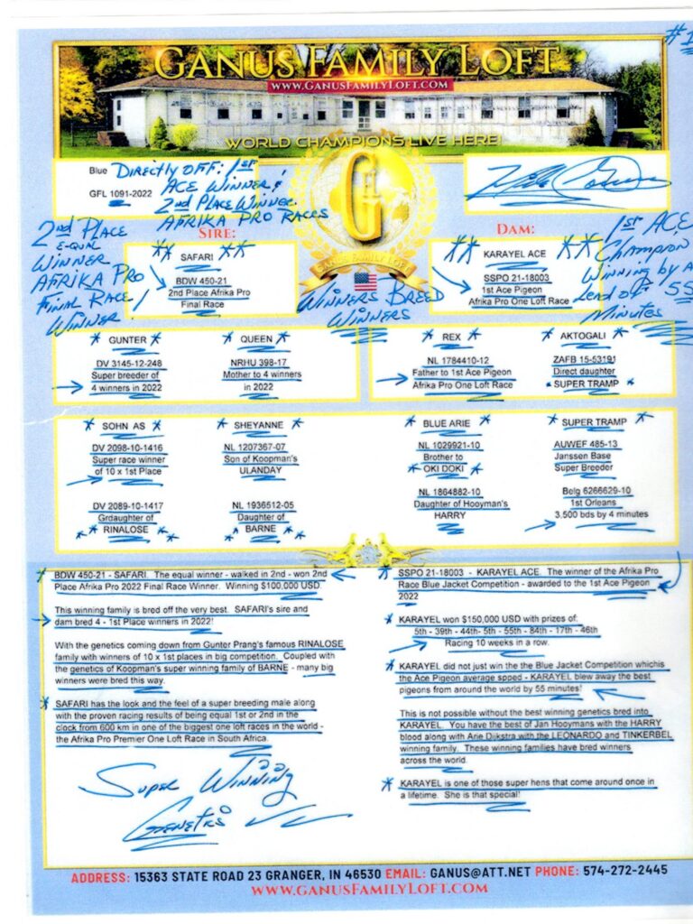 Pigeon loft brochure with pedigree and notes