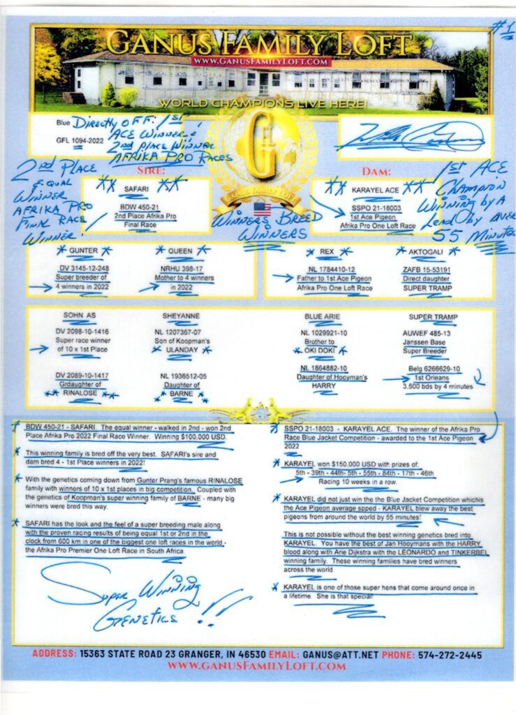 Color pedigree flyer showing loft photo and notes