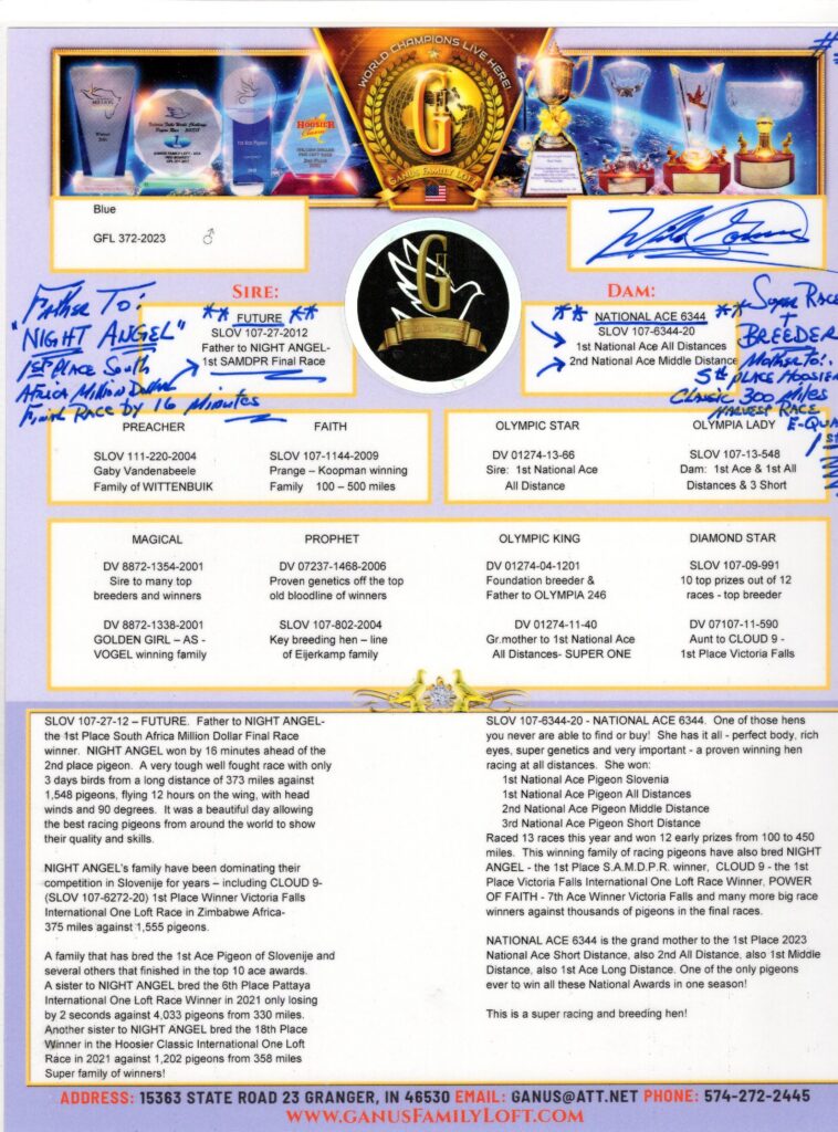 Pigeon racing pedigree sheet with trophies