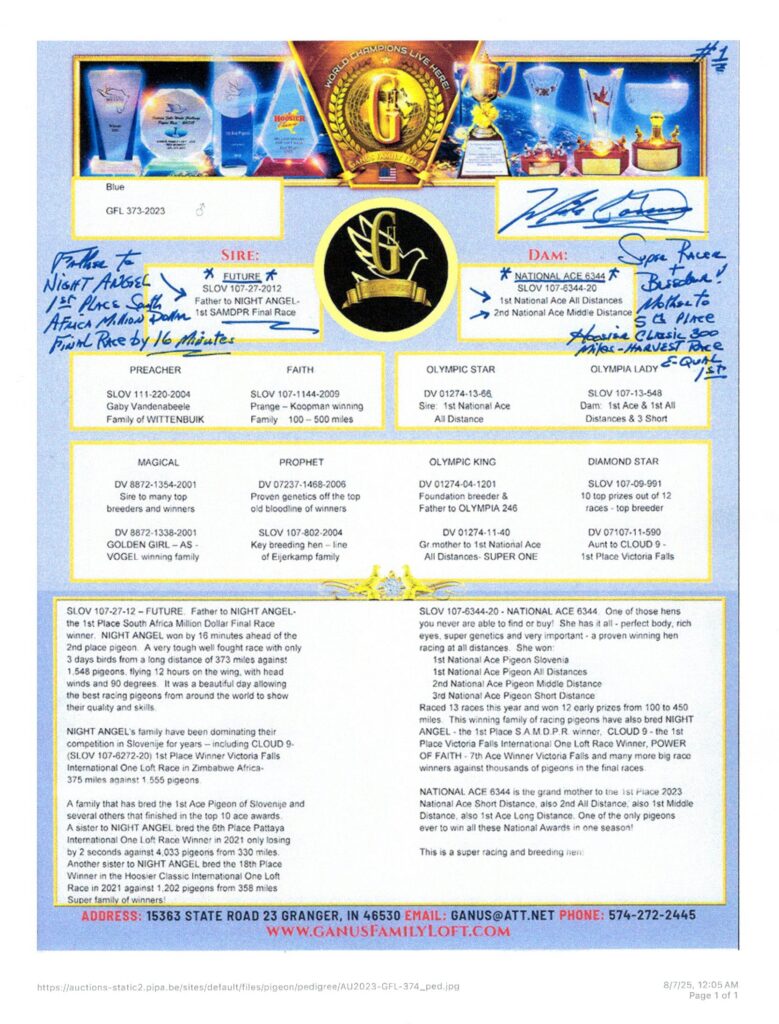 Pigeon pedigree sheet with trophies and details