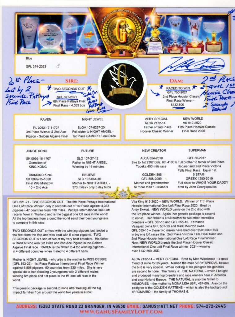 Pigeon pedigree flyer with trophies and text