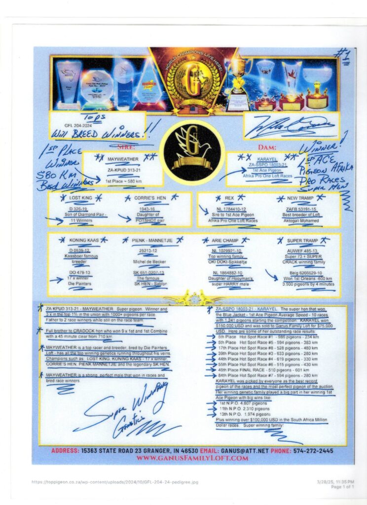 Pigeon pedigree sheet with trophies and signatures