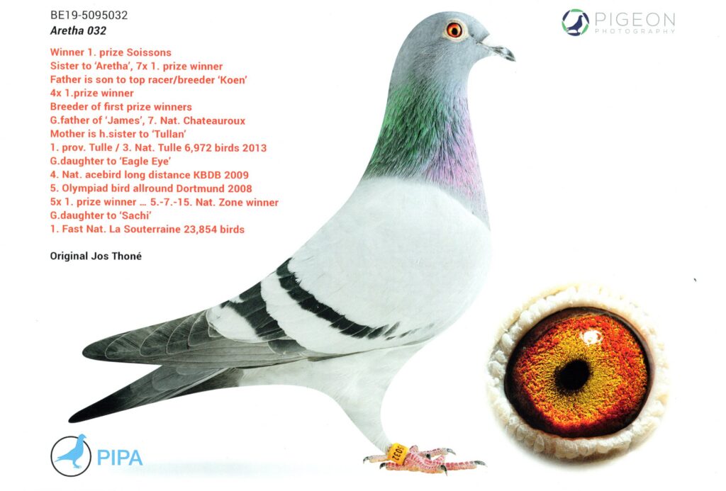 ARETHA 032