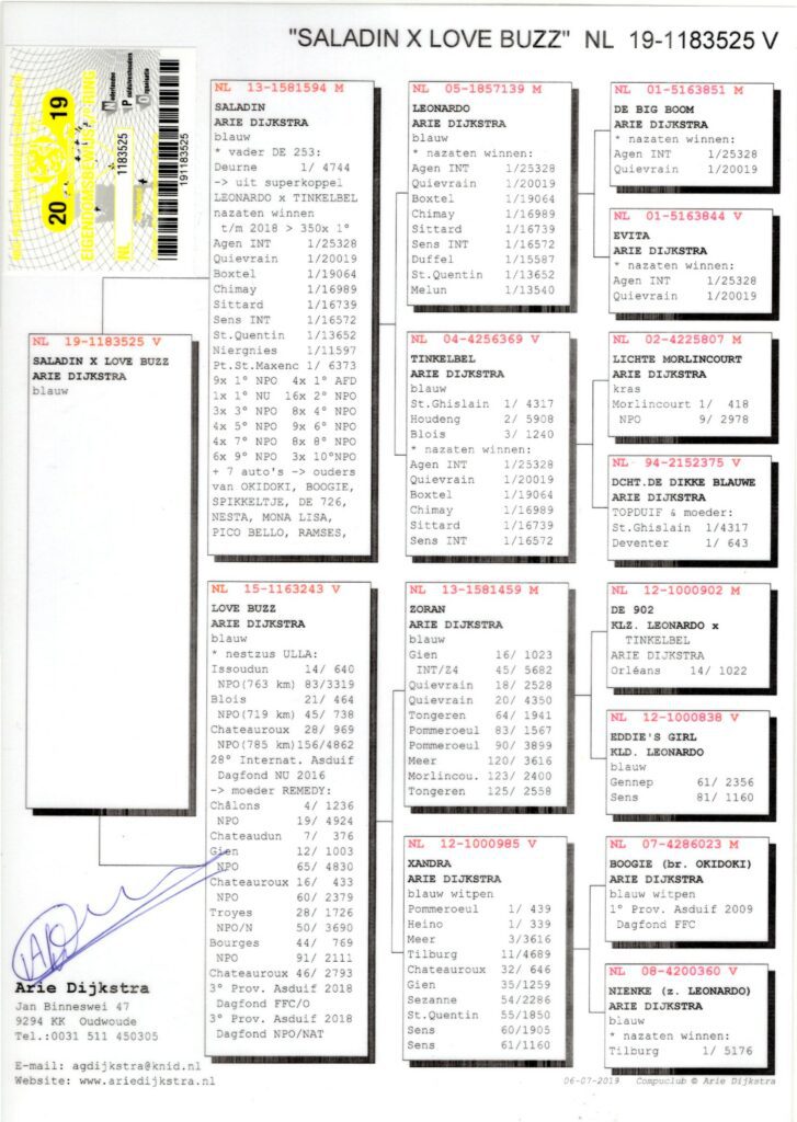 19 NL 1183525