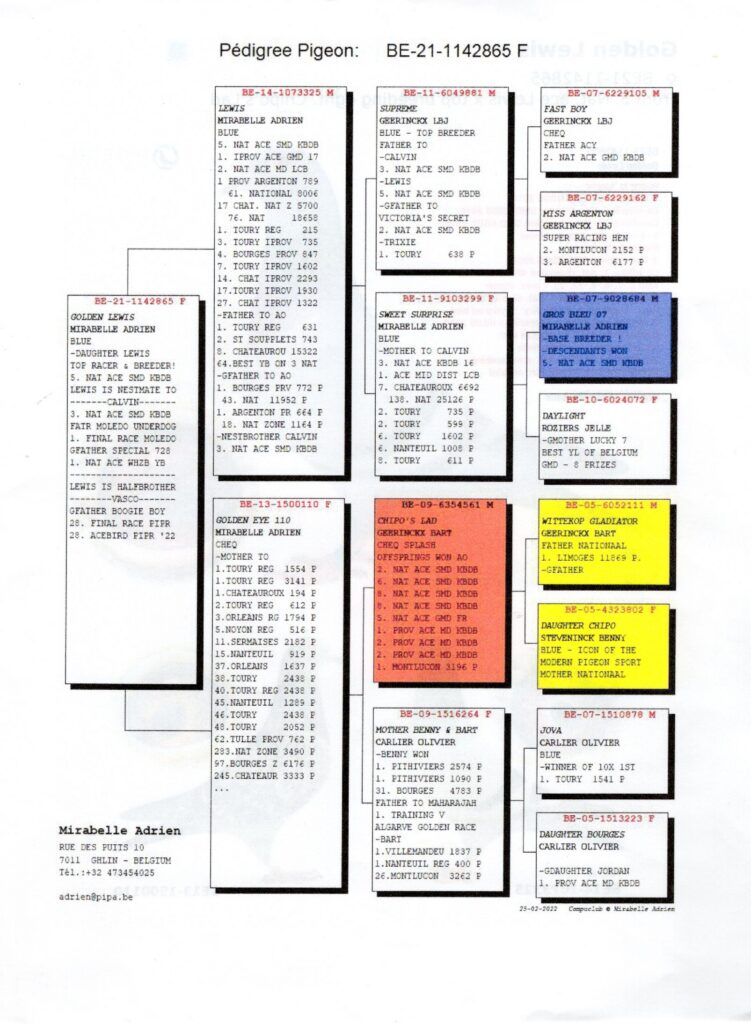 Pigeon pedigree chart with colored ancestor boxes