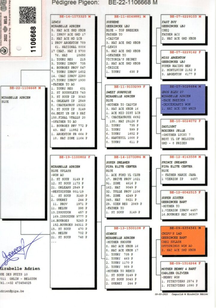 Pedigree pigeon chart with ancestor boxes