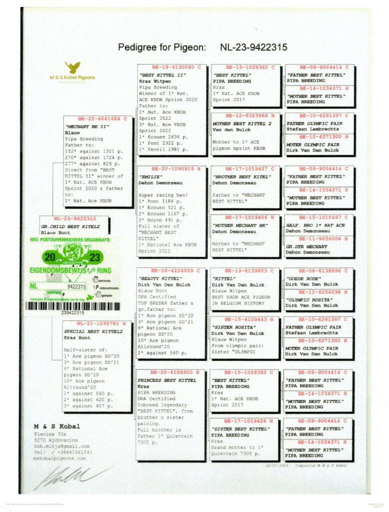 23 NL 9422315