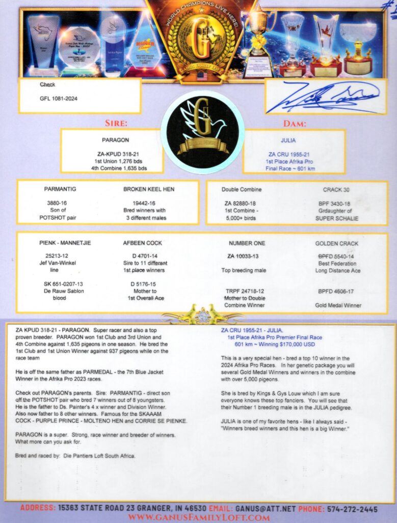 Paragon and Julia pedigree racing flyer