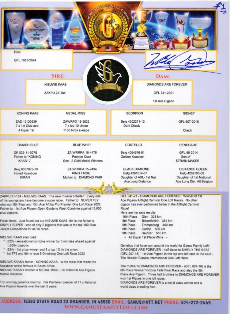 Pigeon pedigree and awards poster