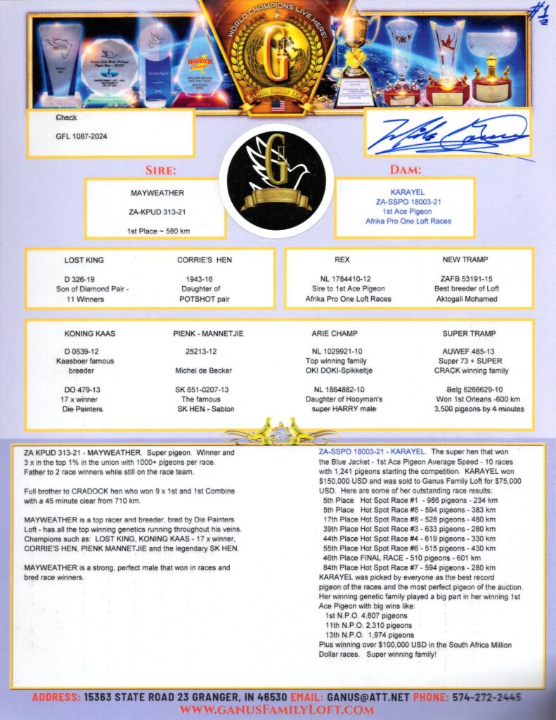 Pigeon racing pedigree and trophy certificate
