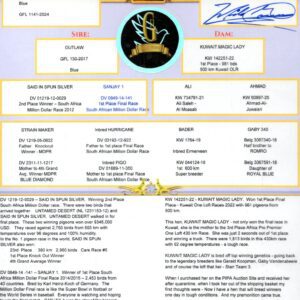 Pigeon pedigree certificate with trophies and logo