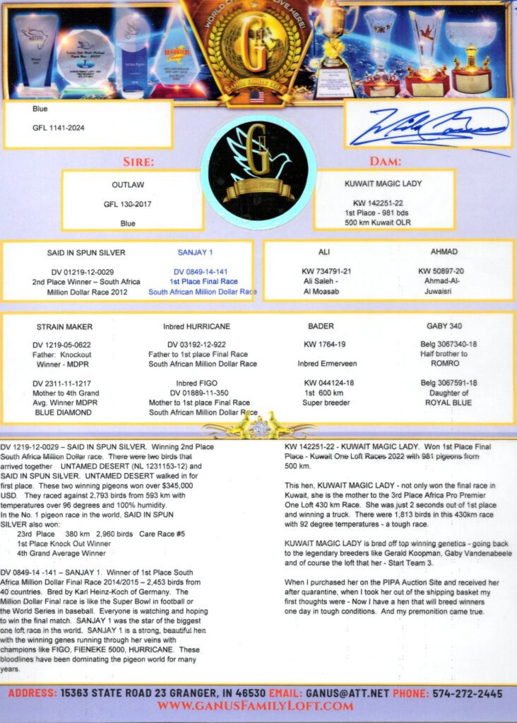 Detailed pigeon bloodline chart and race results