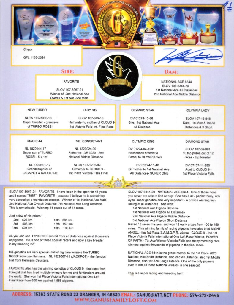 Racing pigeon pedigree flyer with trophies
