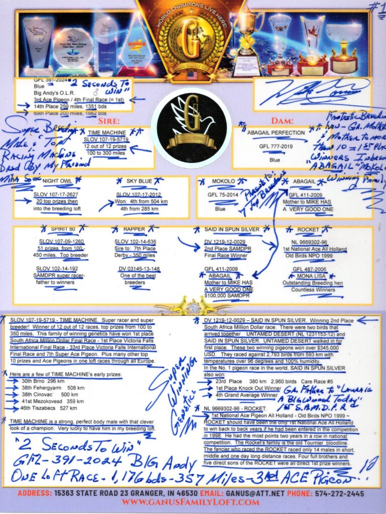 Pigeon pedigree sheet with trophies and annotations