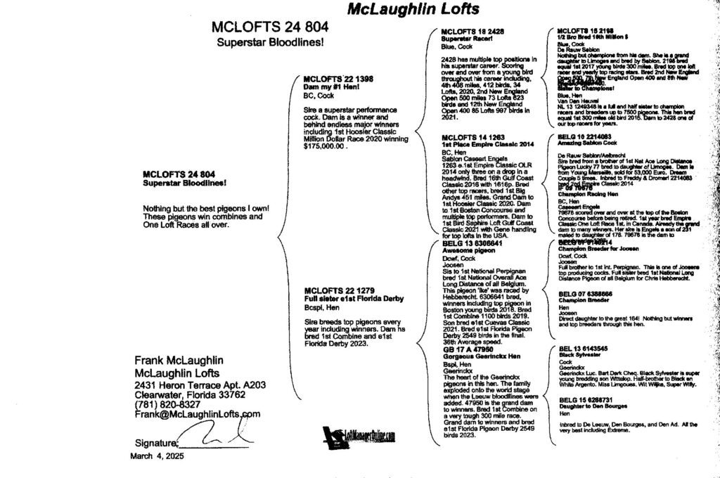 McLaughlin Lofts pigeon pedigree document