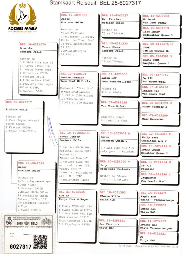 Pigeon pedigree chart with Roziers Family logo