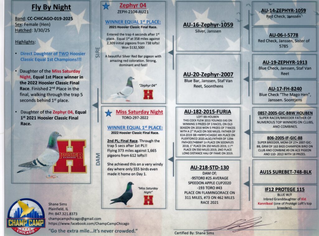 Pigeon pedigree sheet with photos and text