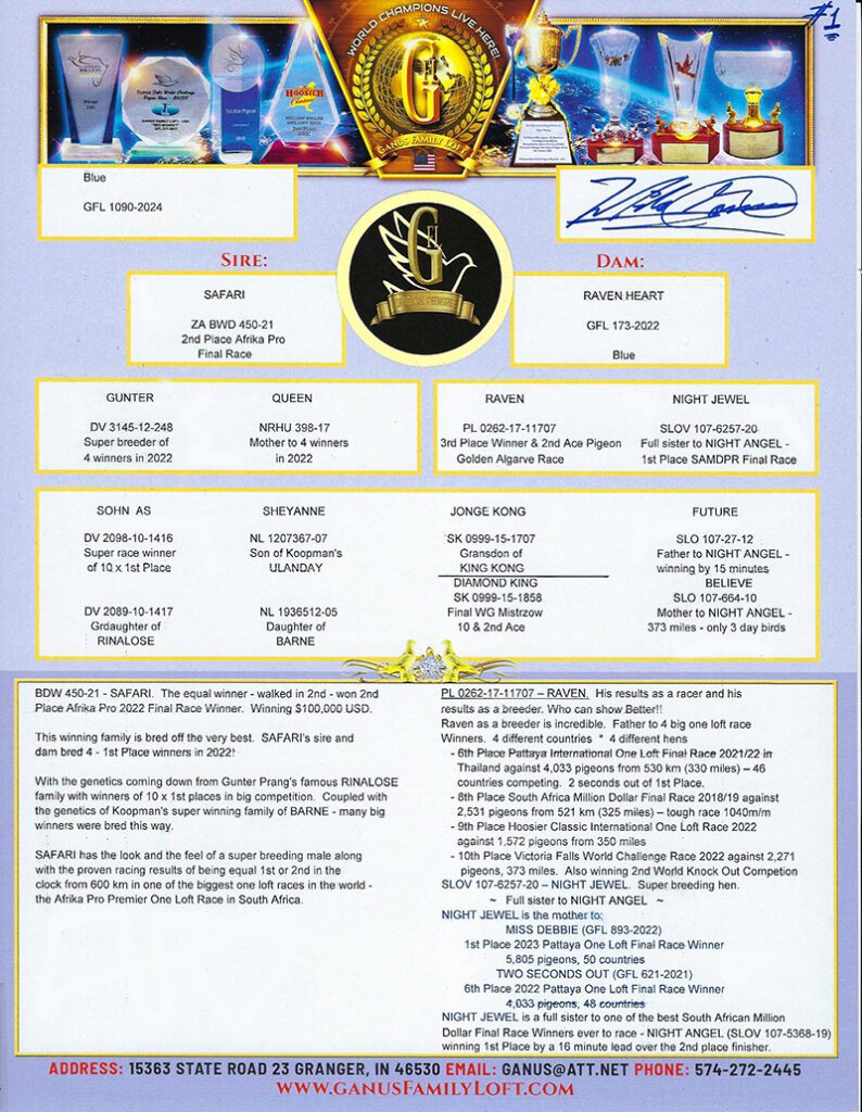 Pigeon racing pedigree poster with trophies